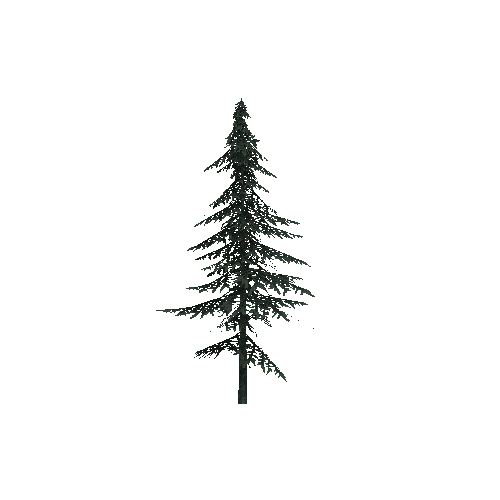 ConiferTreeSmall03LOD1 (TVE Backup)